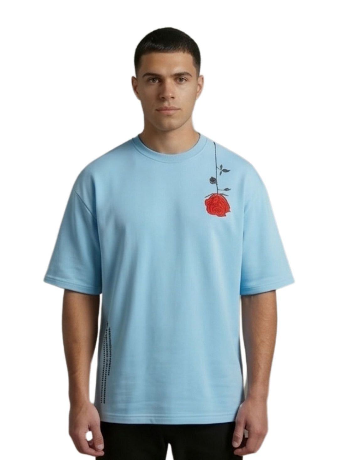 Oversize Shakespares Garden Typography and graphic T-Shirt