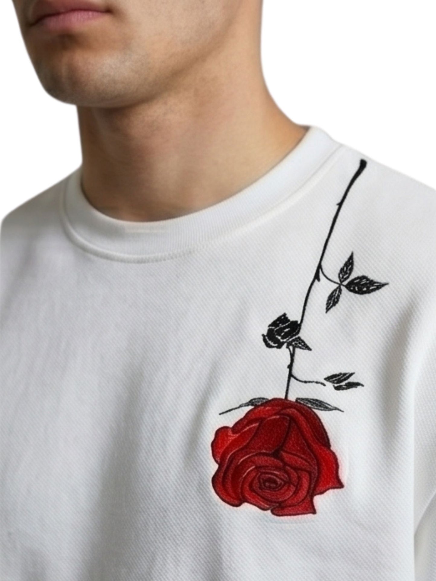 Dunbond label Oversize Shakespares Garden Typography and graphic T-Shirt