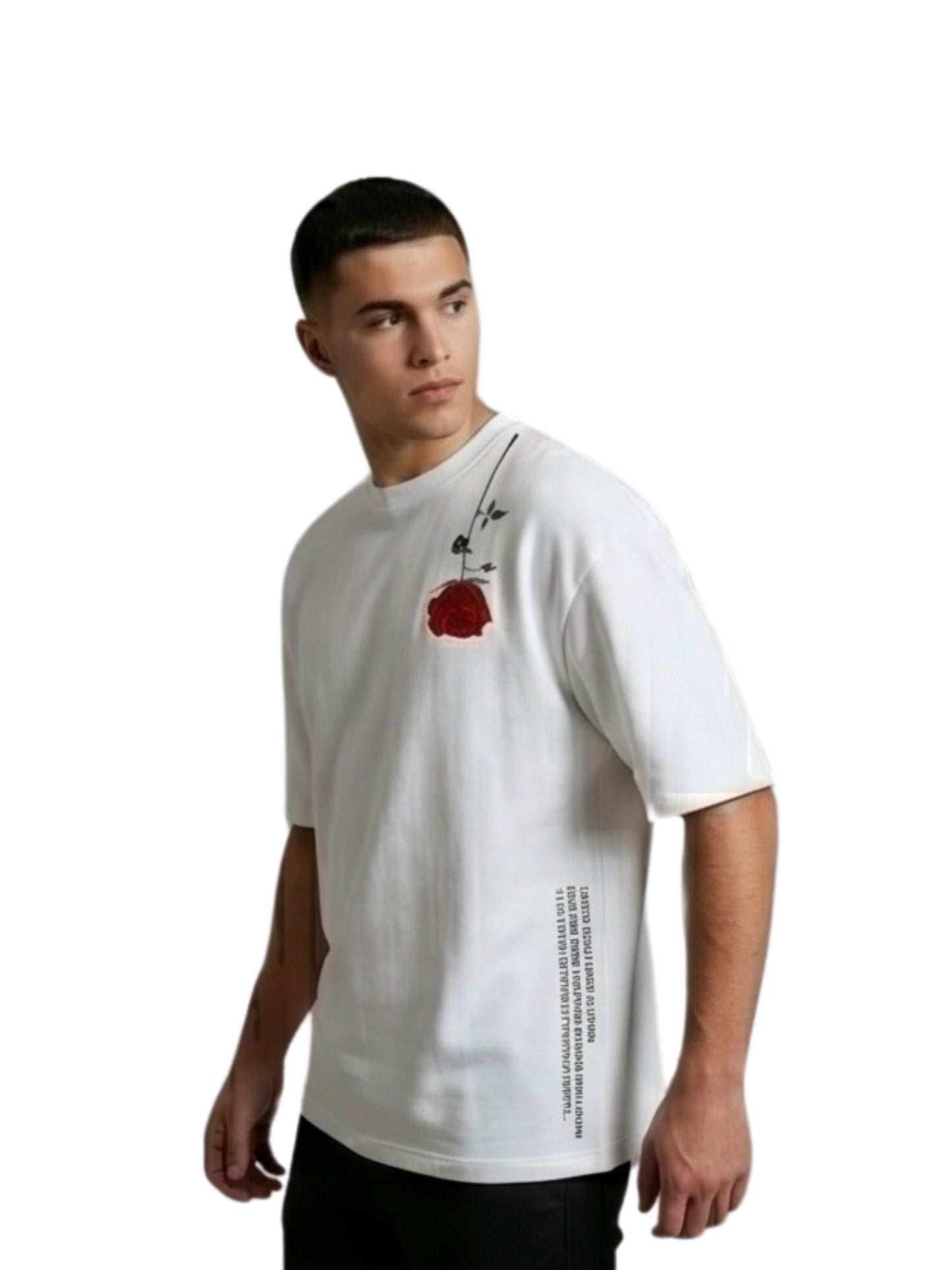 Dunbond label Oversize Shakespares Garden Typography and graphic T-Shirt