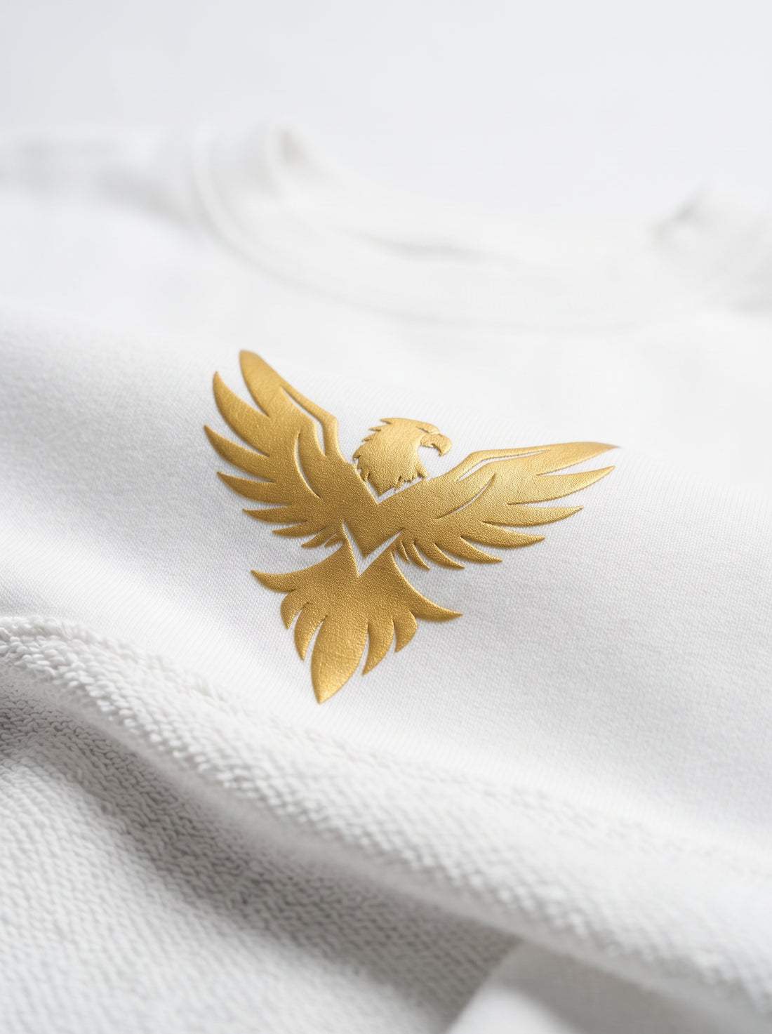 DUNBOND LABEL Phoenix Rise Oversized Graphic T-Shirt  Premium 240 GSM Cotton  Men